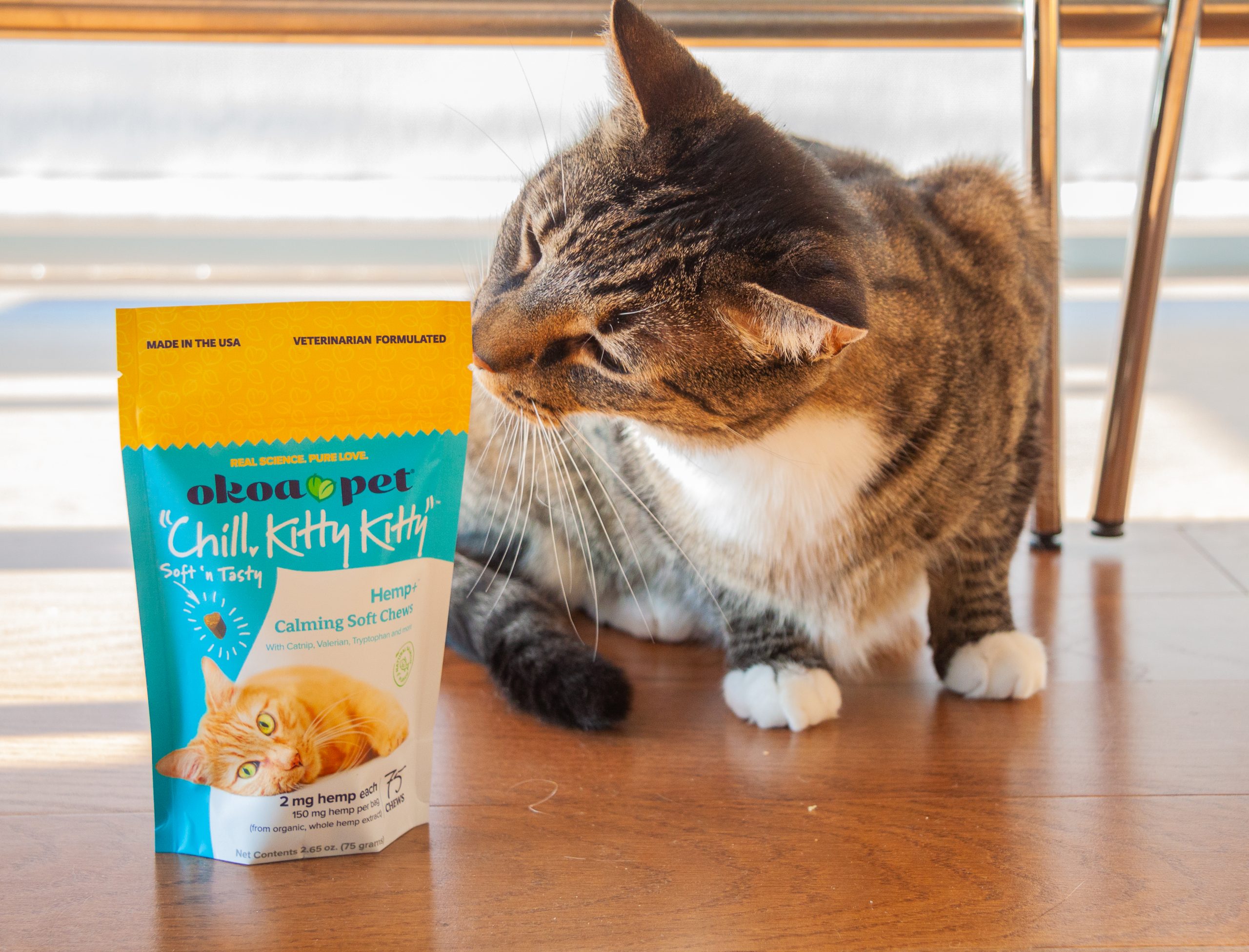 Okoa Pet_5.20.21-198 Cat sniffing bag of Okoa Pet "Chill, Kitty Kitty" Calming Treats for Cats Bag.