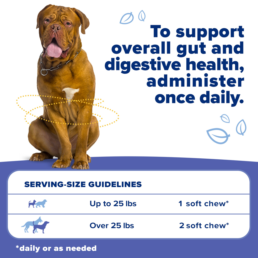 OkoaPet_AmazonSlider_ServingGuidelines_1080x1080_DogBellyBoost