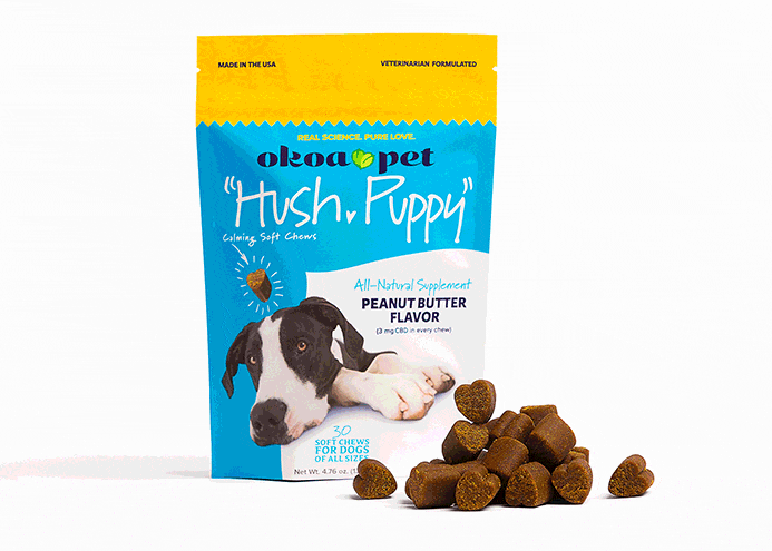 Dog with Hush, Puppy chews