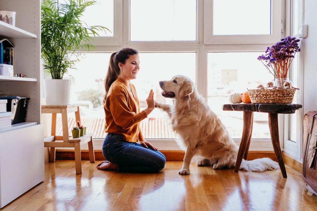 woman training her dog how to high-five